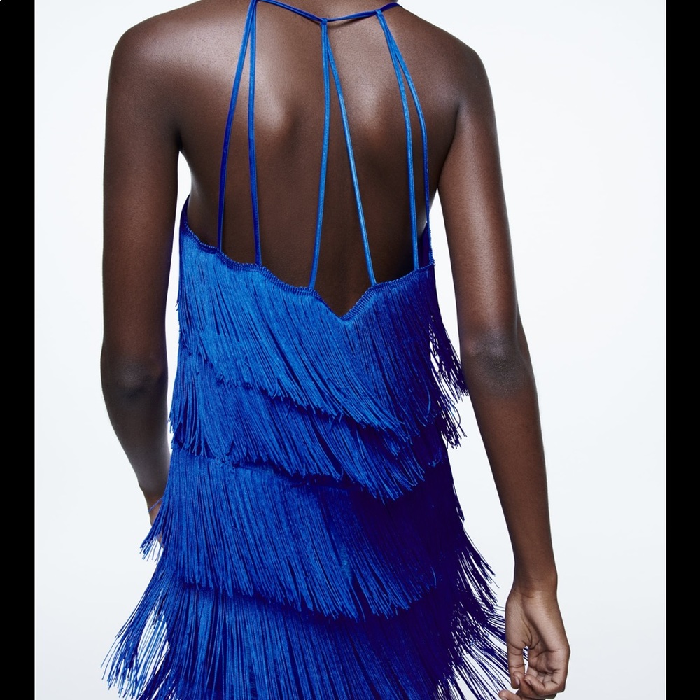 • Zara • Fringed Mini Dress - Picture 2 of 11